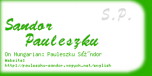 sandor pauleszku business card